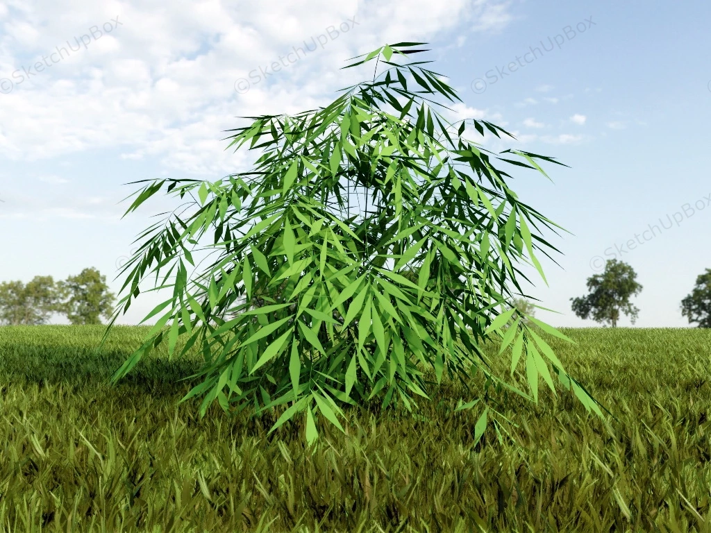 Bamboo Bushes sketchup model preview - SketchupBox