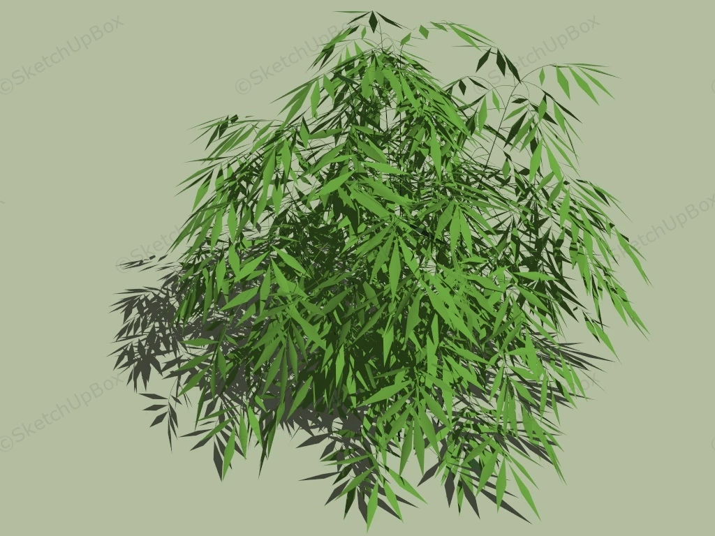 Bamboo Bushes sketchup model preview - SketchupBox