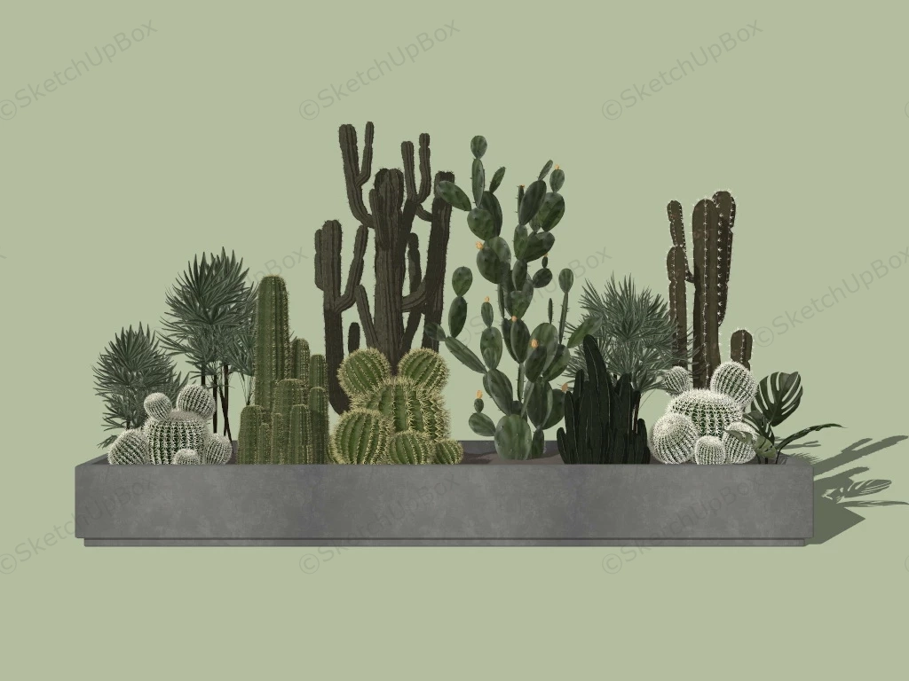 Cactus Garden Design sketchup model preview - SketchupBox