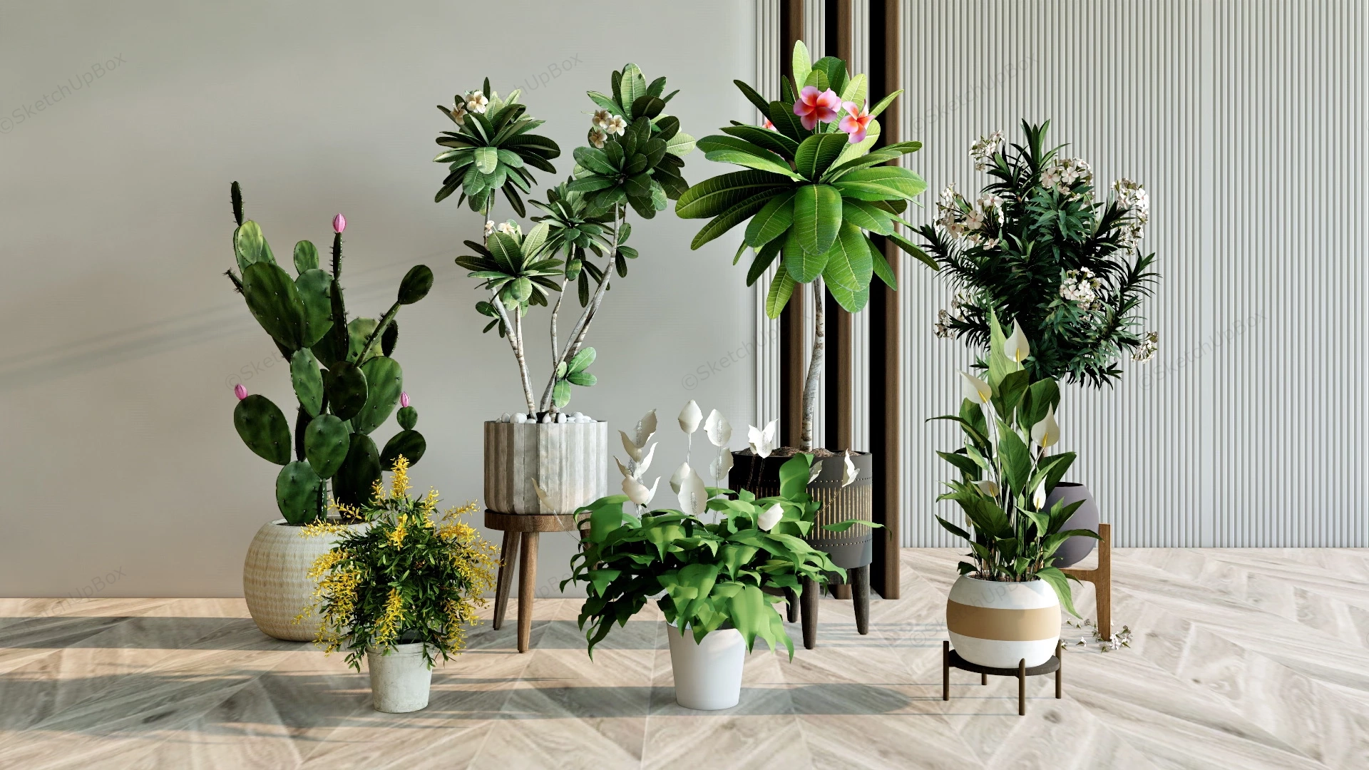 Flowering Indoor Plants sketchup model preview - SketchupBox