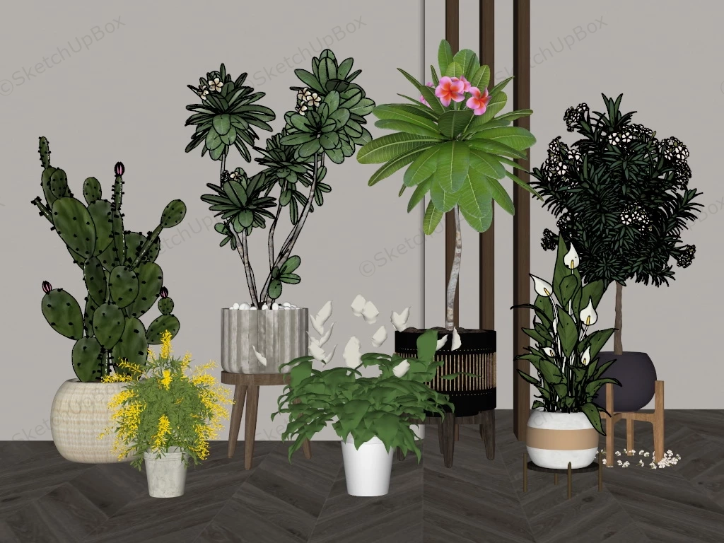 Flowering Indoor Plants sketchup model preview - SketchupBox