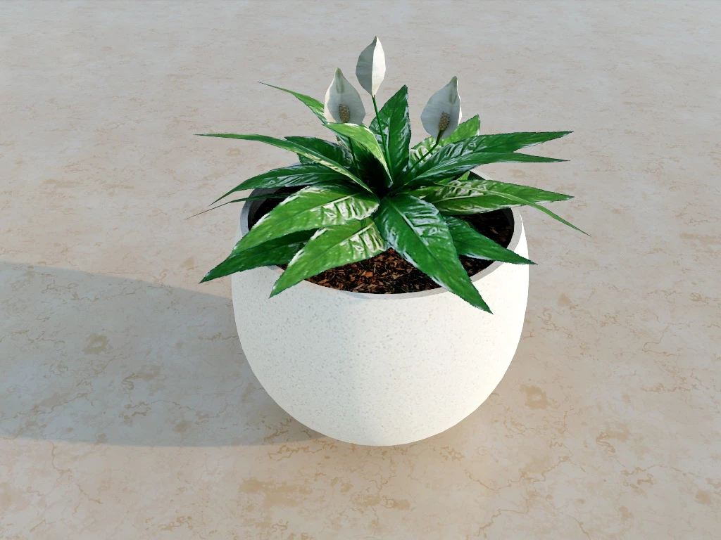Houseplant Peace Lily sketchup model preview - SketchupBox