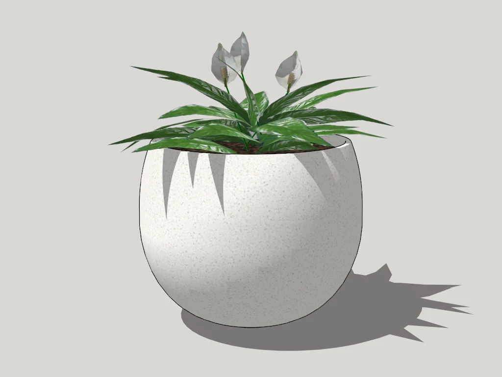 Houseplant Peace Lily sketchup model preview - SketchupBox