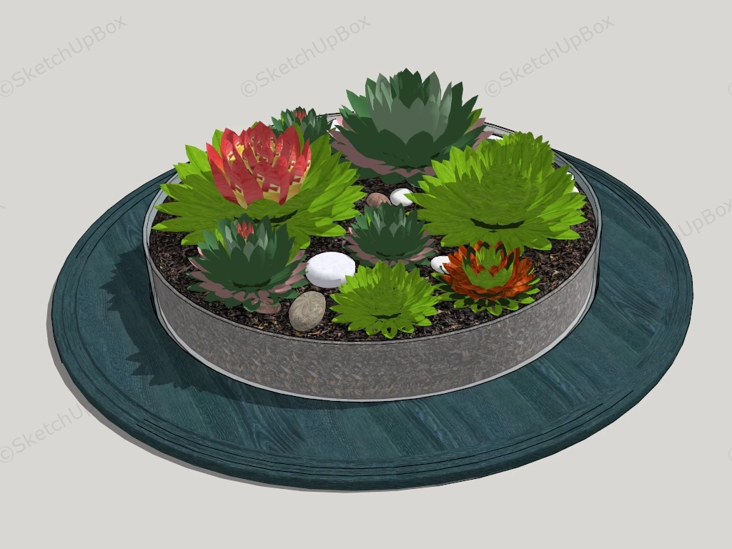 Potted Succulent Garden sketchup model preview - SketchupBox