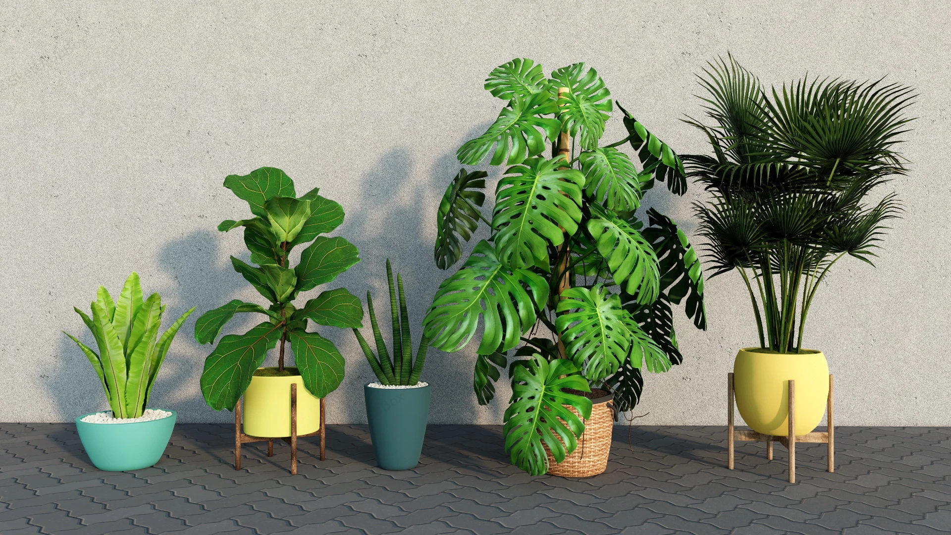 Indoor Floor Plants sketchup model preview - SketchupBox