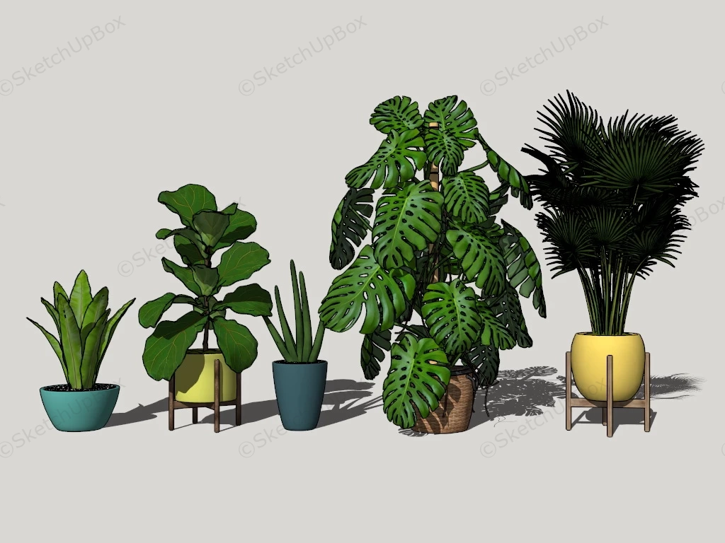 Indoor Floor Plants sketchup model preview - SketchupBox