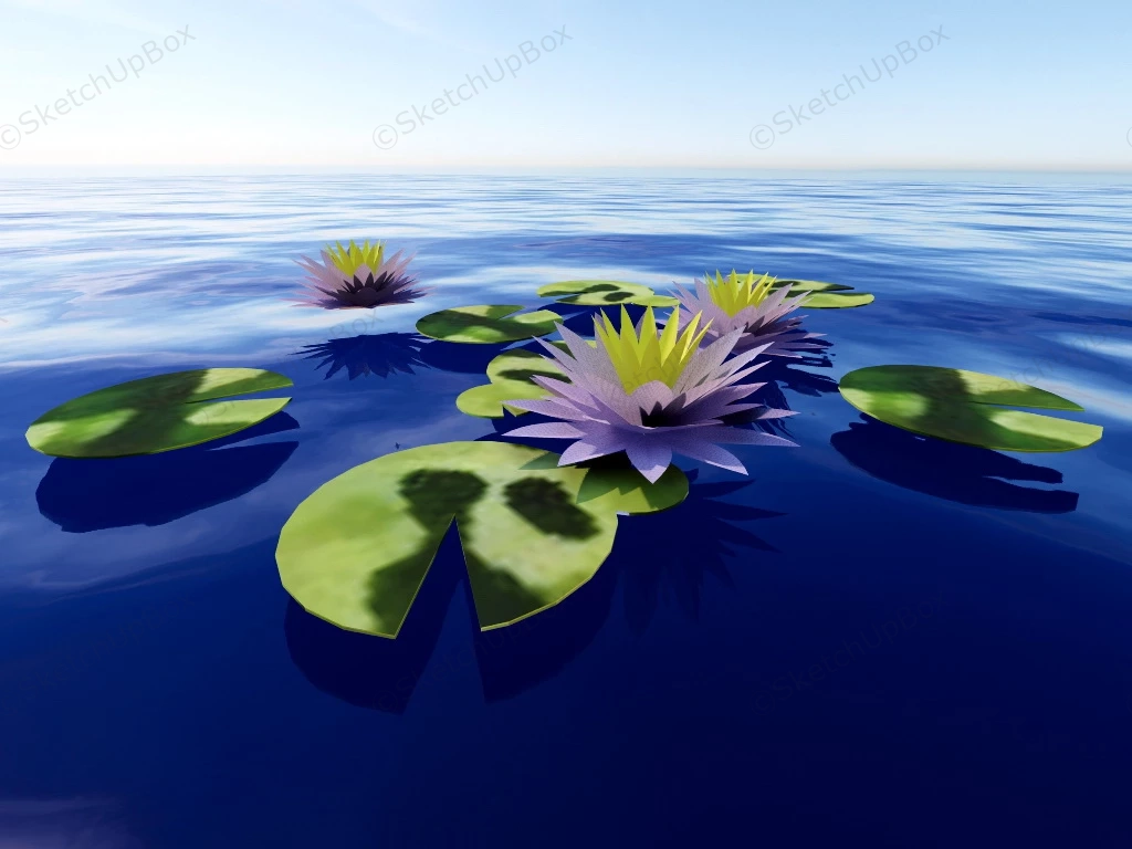 Water Lily Flower sketchup model preview - SketchupBox