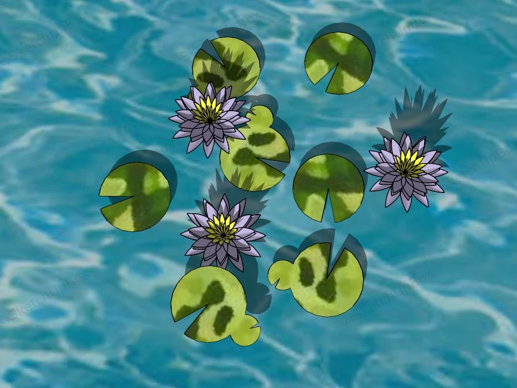 Water Lily Flower sketchup model preview - SketchupBox