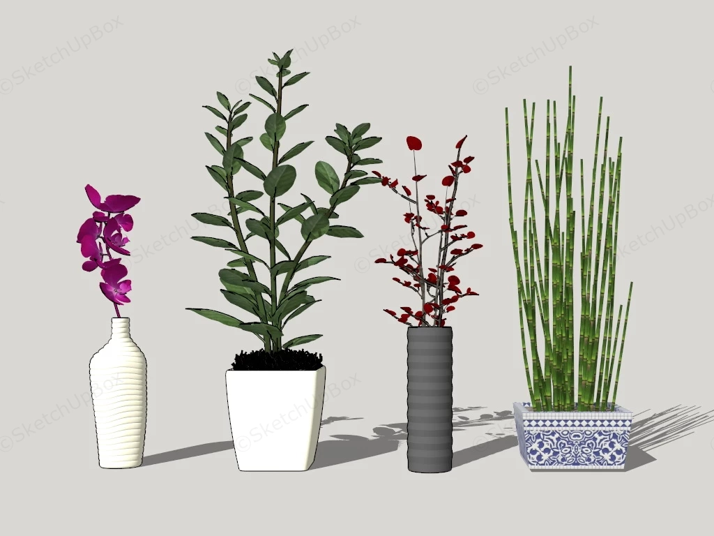 Desktop Plants sketchup model preview - SketchupBox
