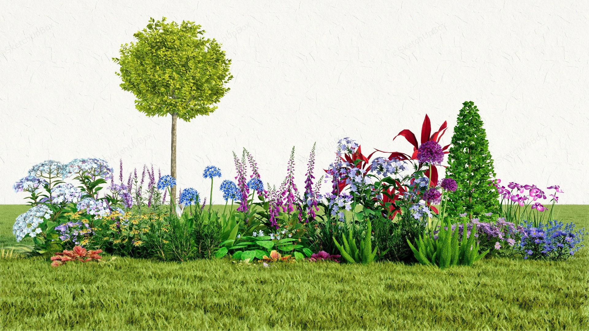 Landscape Border Plants sketchup model preview - SketchupBox