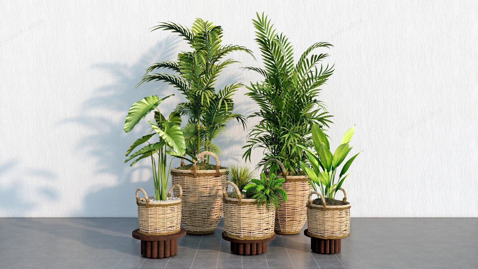 Wicker Pot Plants sketchup model preview - SketchupBox