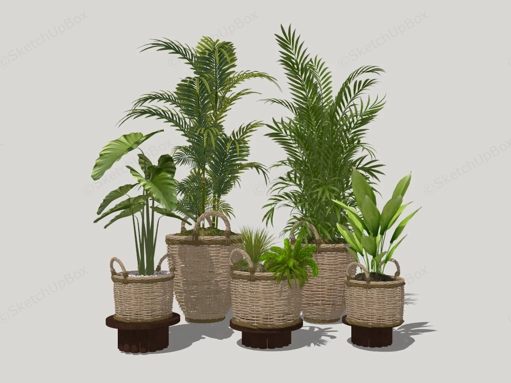 Wicker Pot Plants sketchup model preview - SketchupBox