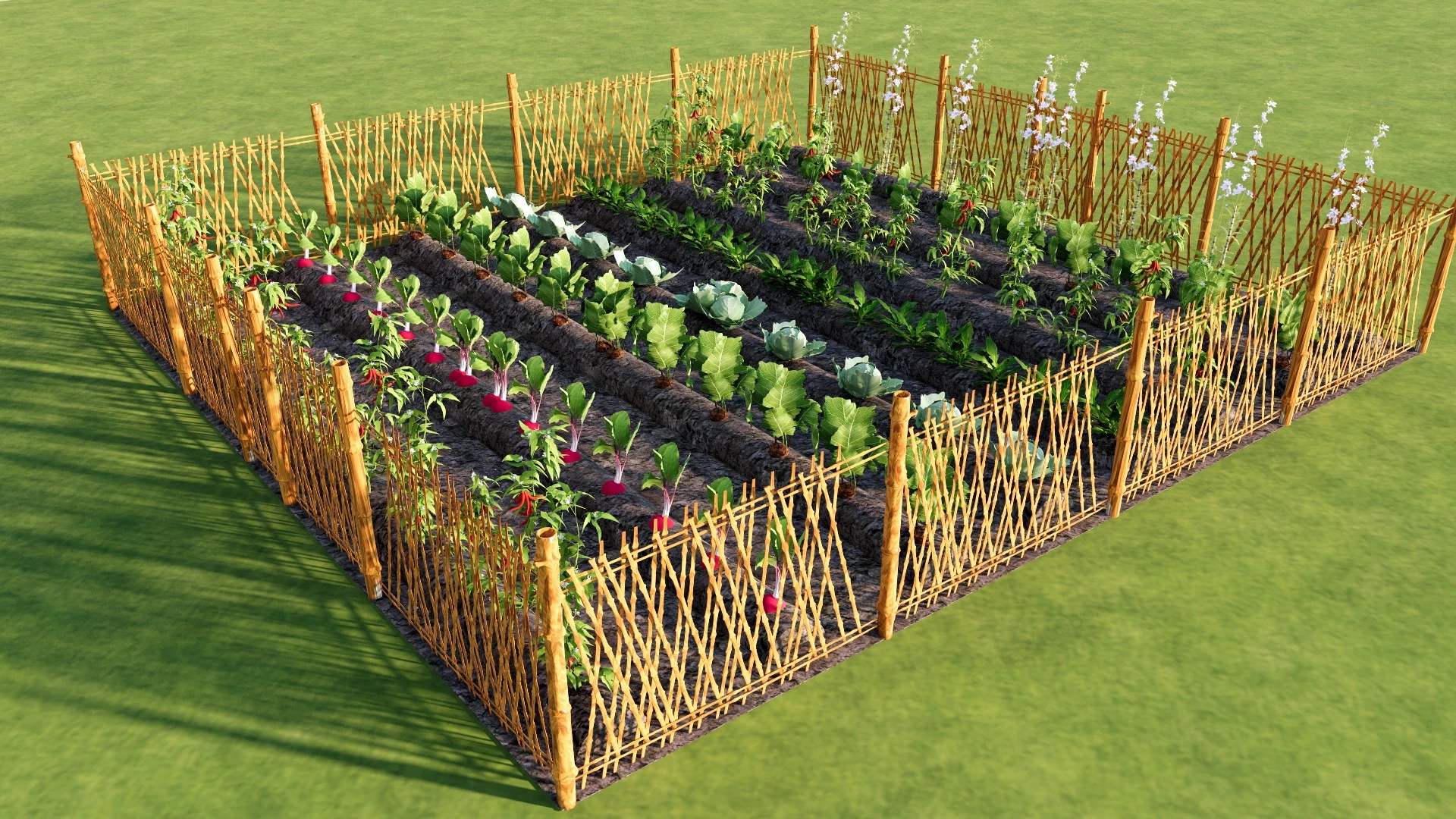 Vegetable Garden With Bamboo Fence sketchup model preview - SketchupBox