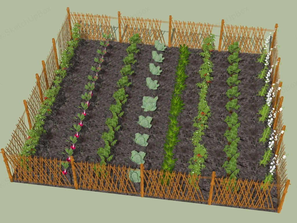 Vegetable Garden With Bamboo Fence sketchup model preview - SketchupBox