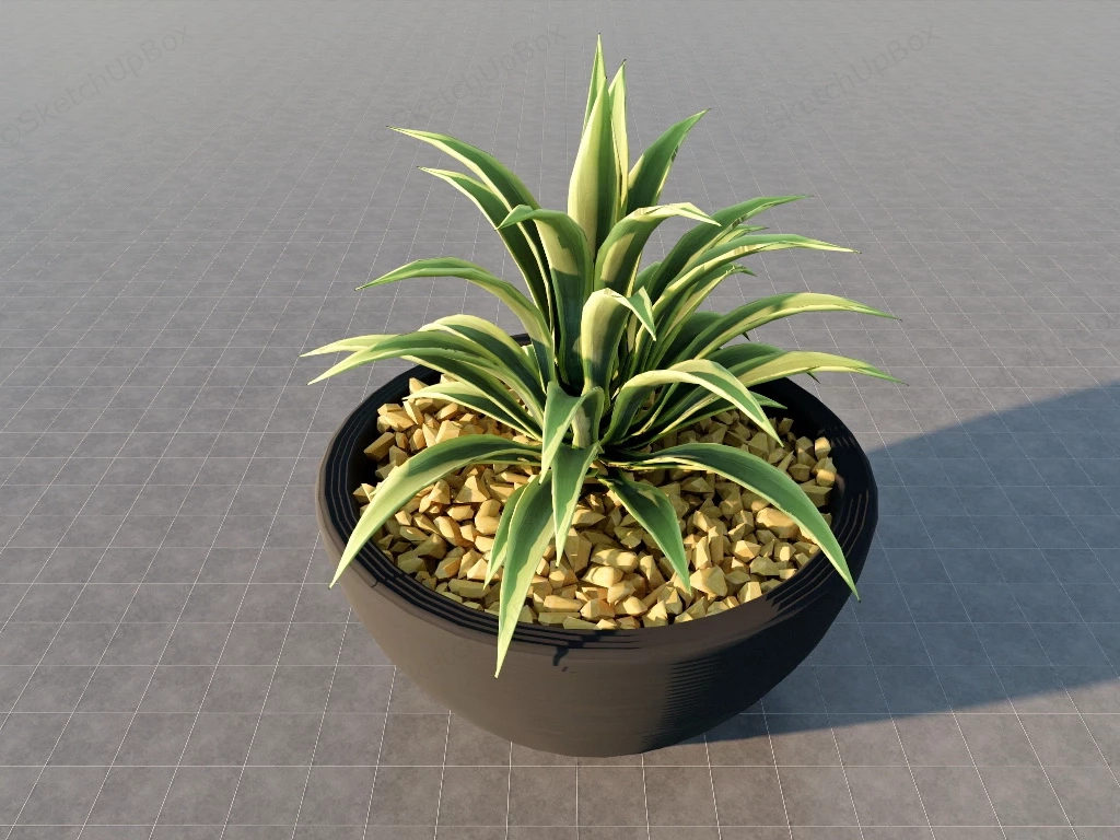 Spider Plant Houseplant sketchup model preview - SketchupBox