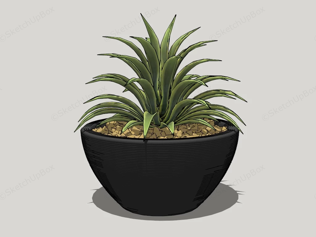 Spider Plant Houseplant sketchup model preview - SketchupBox
