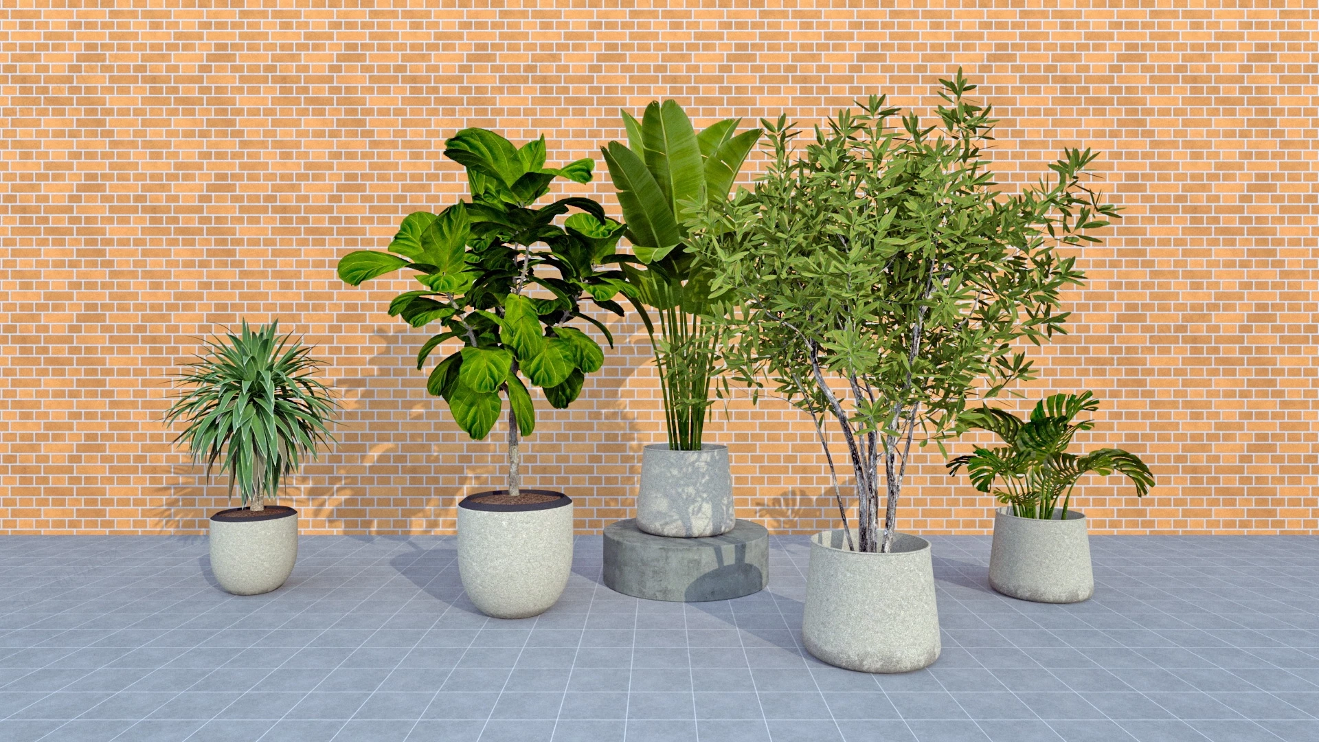 Large House Plants sketchup model preview - SketchupBox
