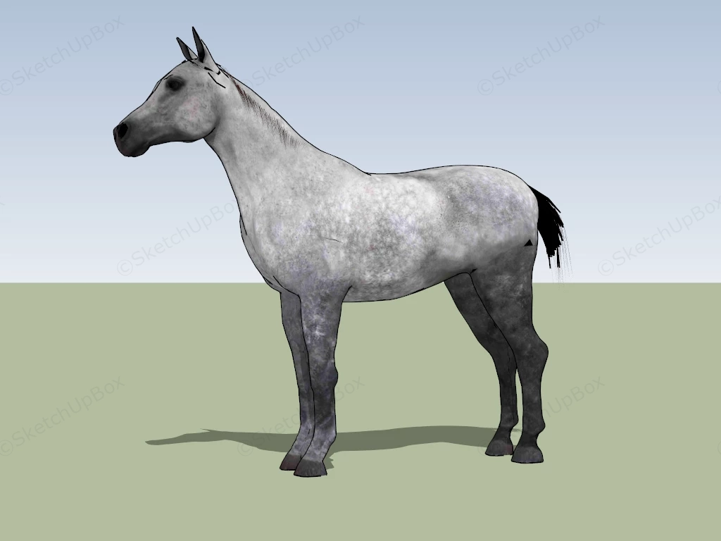 Arabian Horse sketchup model preview - SketchupBox
