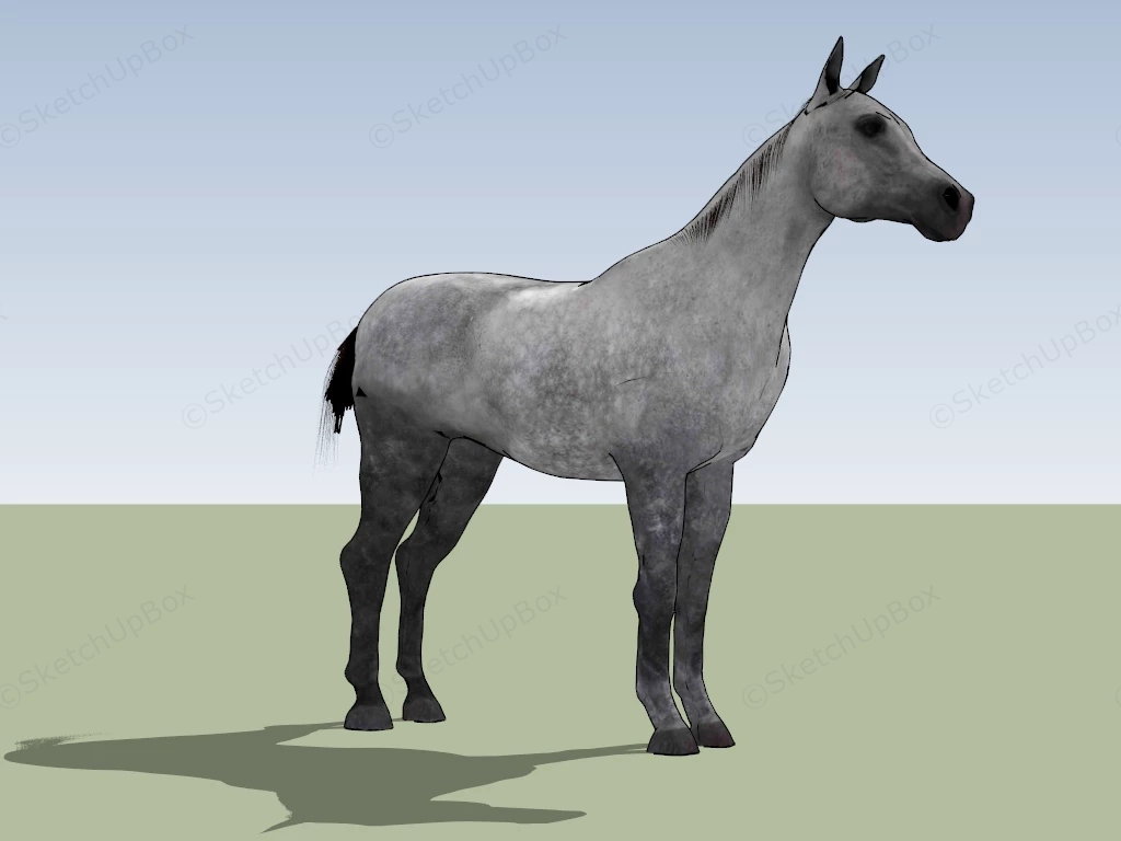 Arabian Horse sketchup model preview - SketchupBox