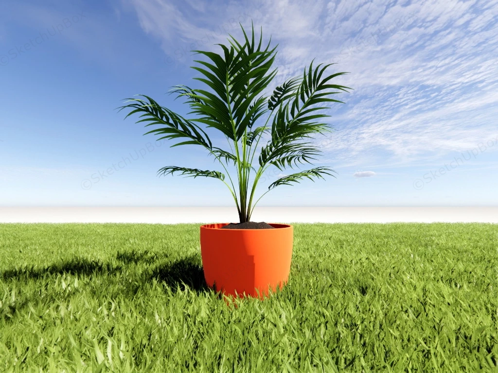 Potted Palm sketchup model preview - SketchupBox