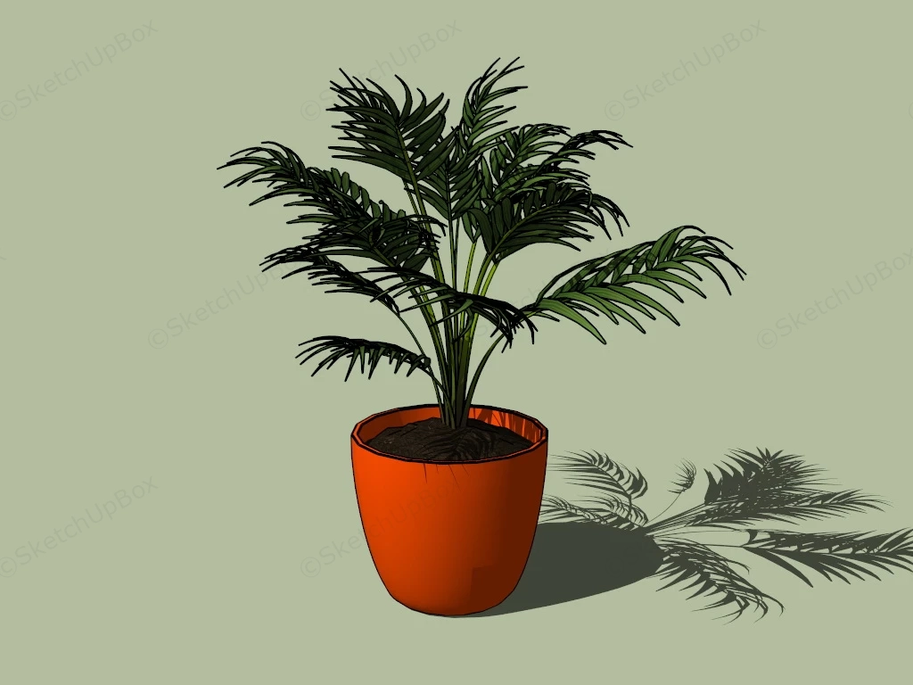 Potted Palm sketchup model preview - SketchupBox