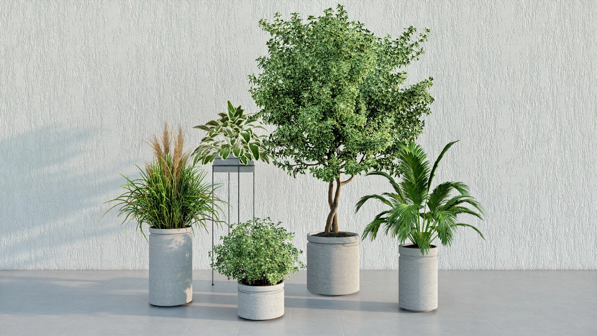 Concrete Pot Plants sketchup model preview - SketchupBox