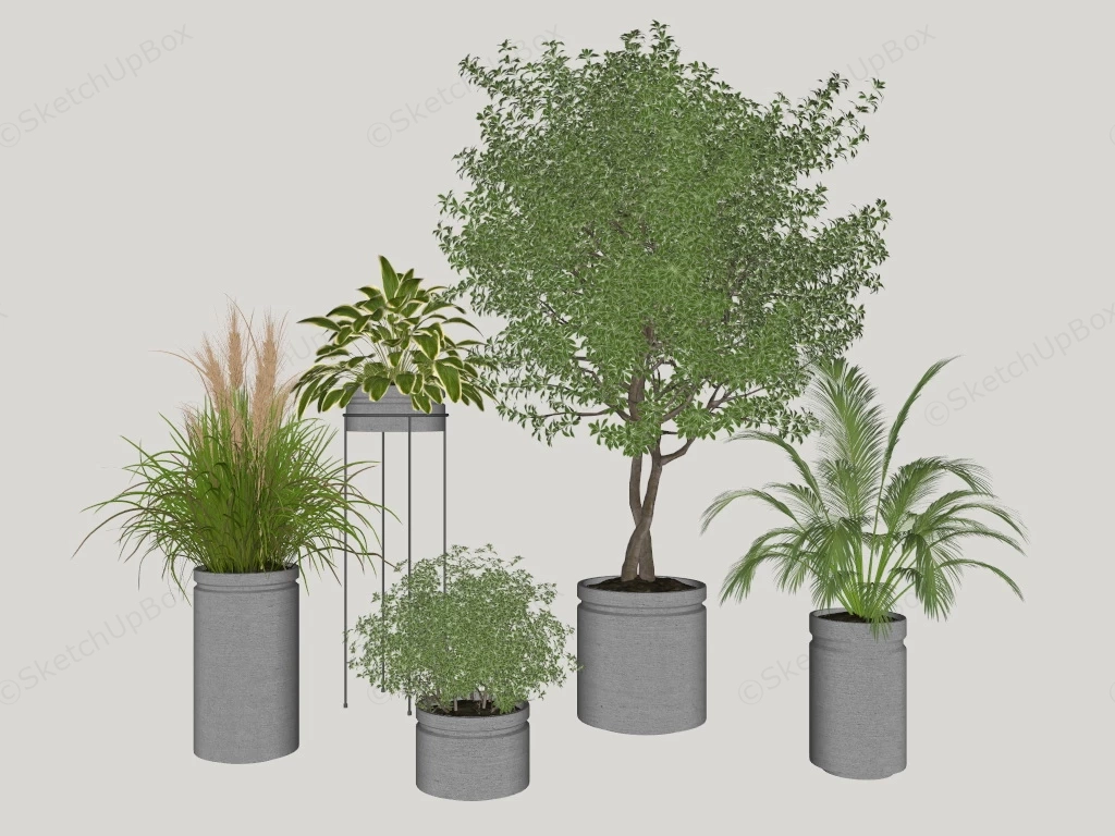 Concrete Pot Plants sketchup model preview - SketchupBox