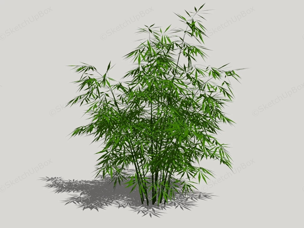 River Cane Bamboo sketchup model preview - SketchupBox