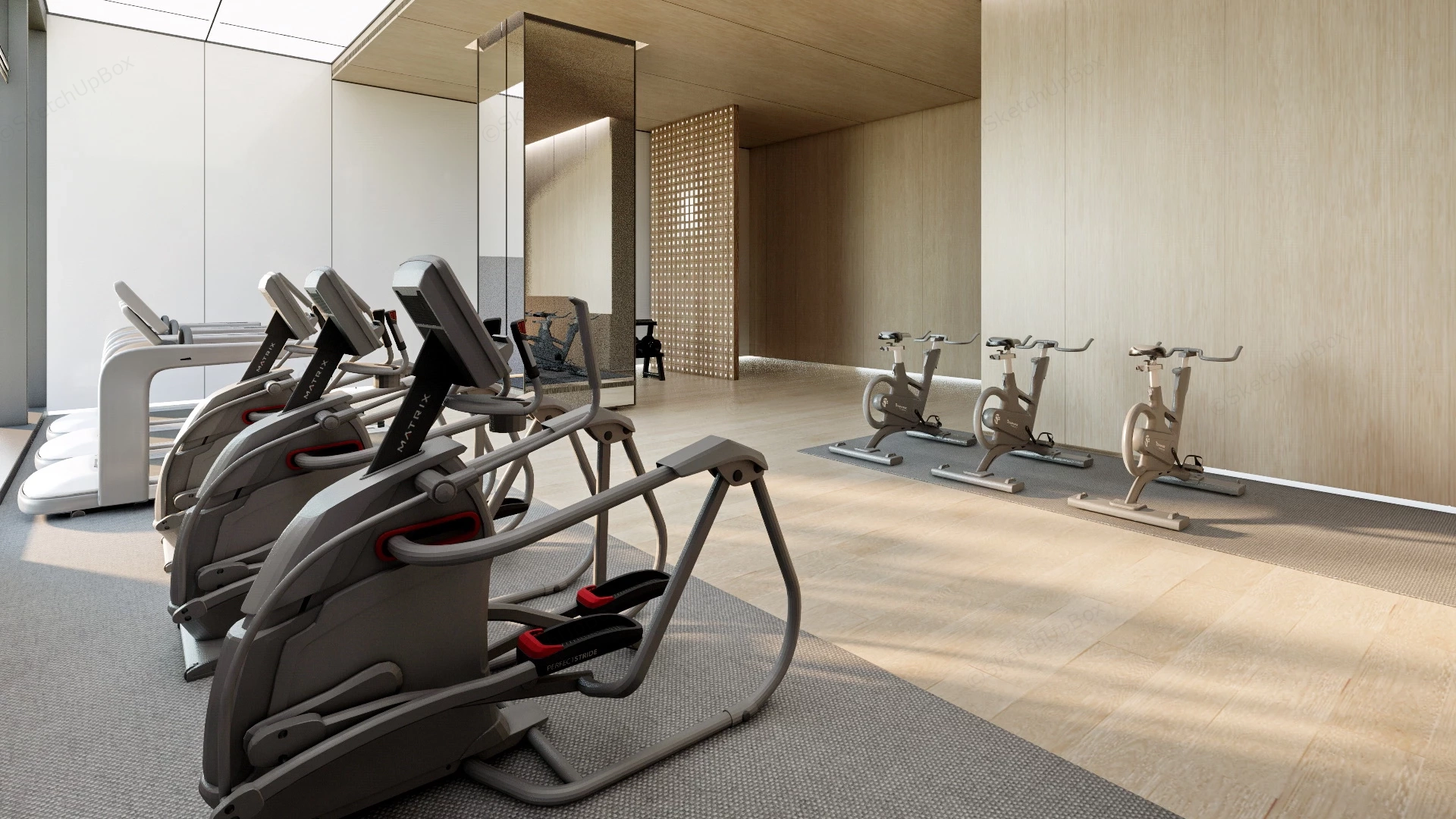 Office Gym Design sketchup model preview - SketchupBox