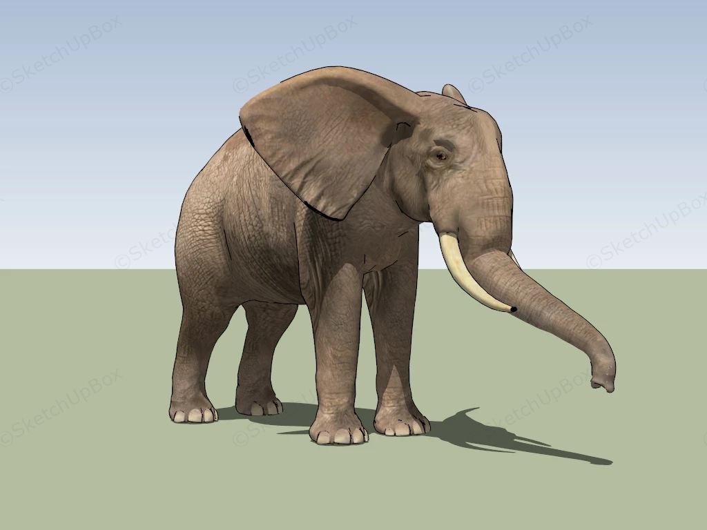 Grey Elephant sketchup model preview - SketchupBox