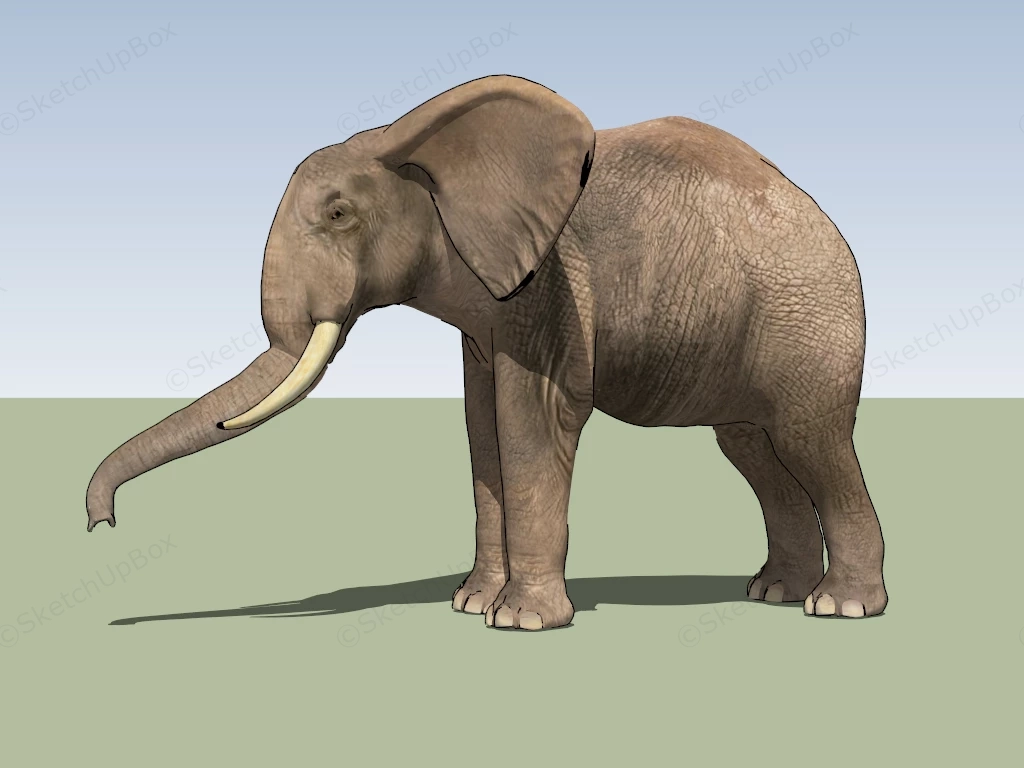 Grey Elephant sketchup model preview - SketchupBox