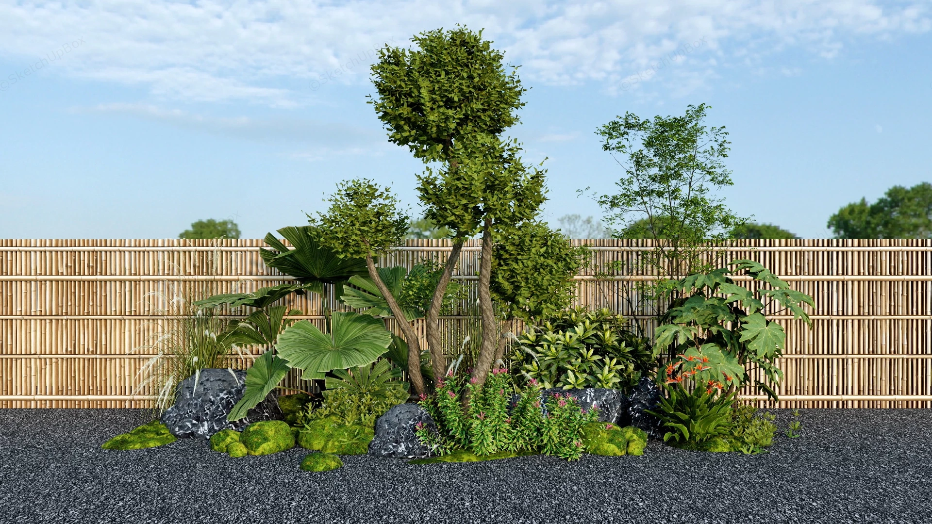 Accent Plants For Garden sketchup model preview - SketchupBox