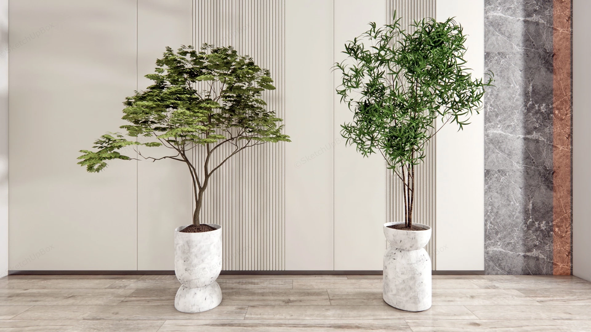 Tall Indoor Tree Plants sketchup model preview - SketchupBox