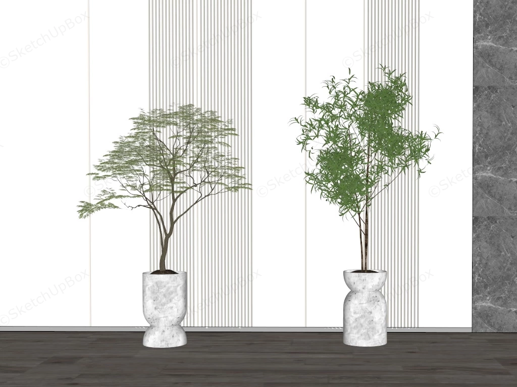Tall Indoor Tree Plants sketchup model preview - SketchupBox
