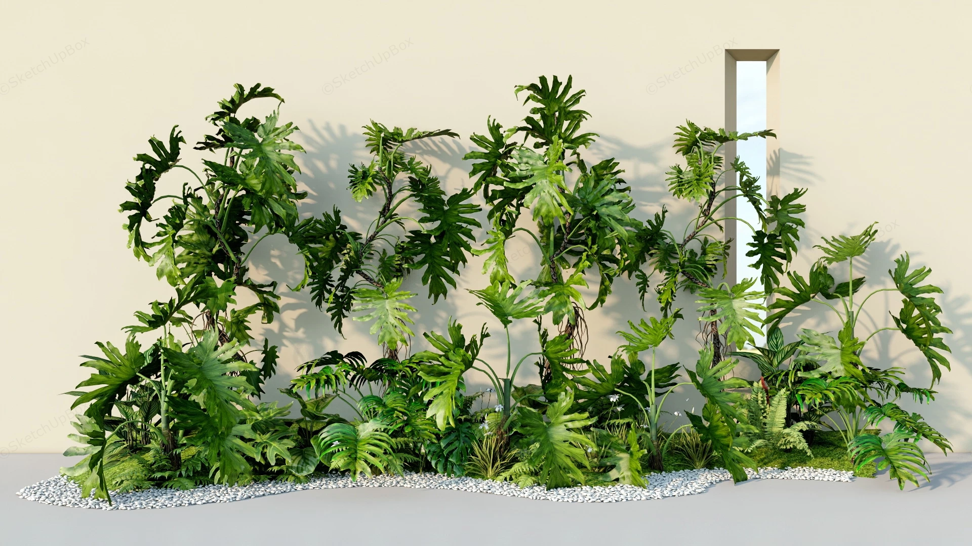 Philodendron Tropical Landscape sketchup model preview - SketchupBox