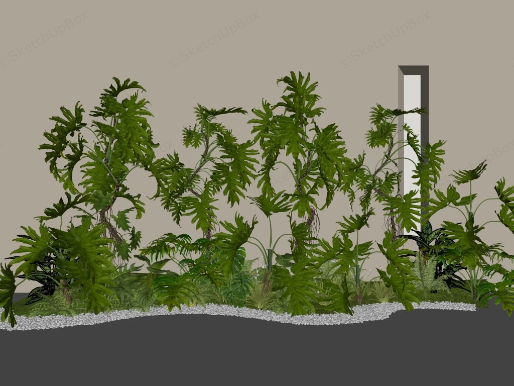 Philodendron Tropical Landscape sketchup model preview - SketchupBox