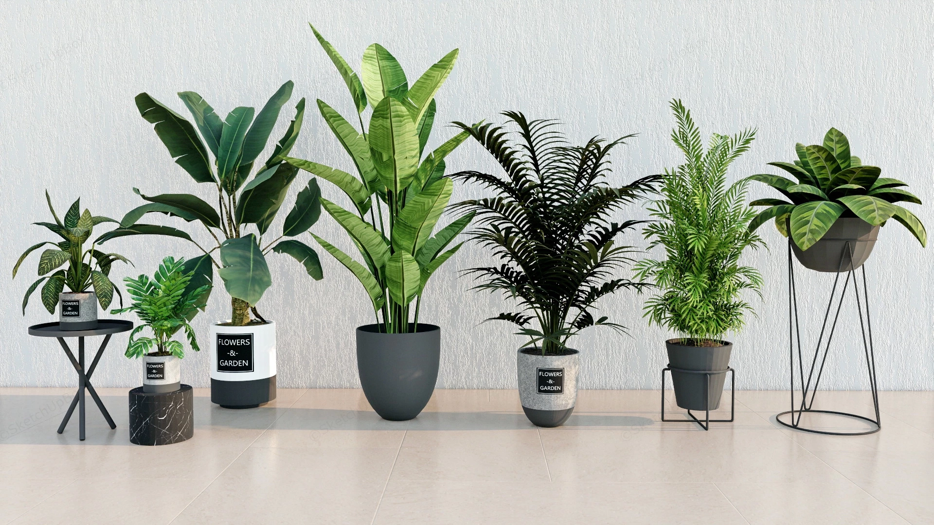 Indoor Home Plants sketchup model preview - SketchupBox