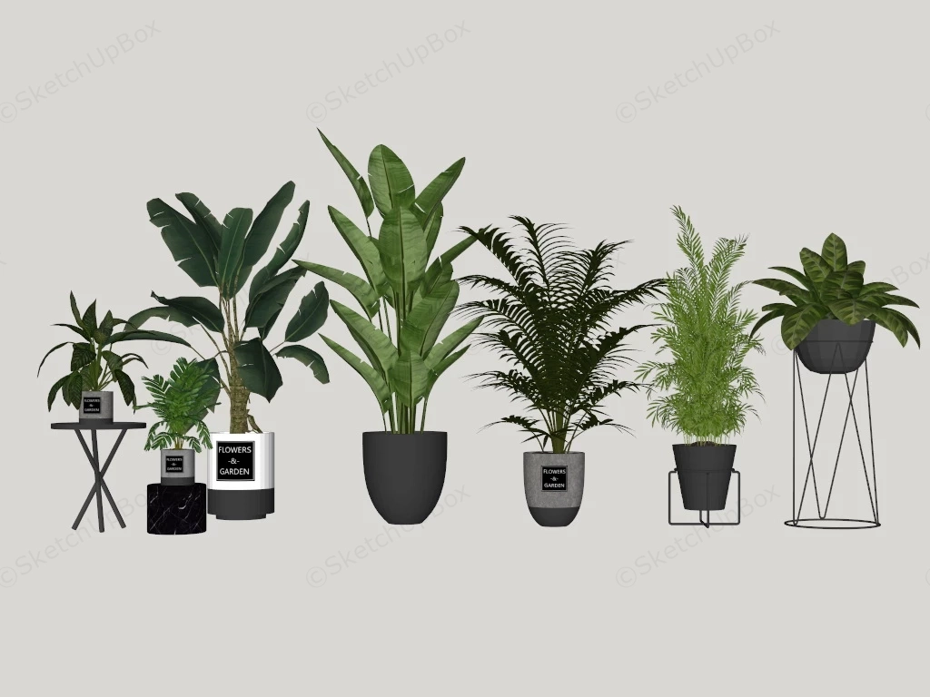 Indoor Home Plants sketchup model preview - SketchupBox