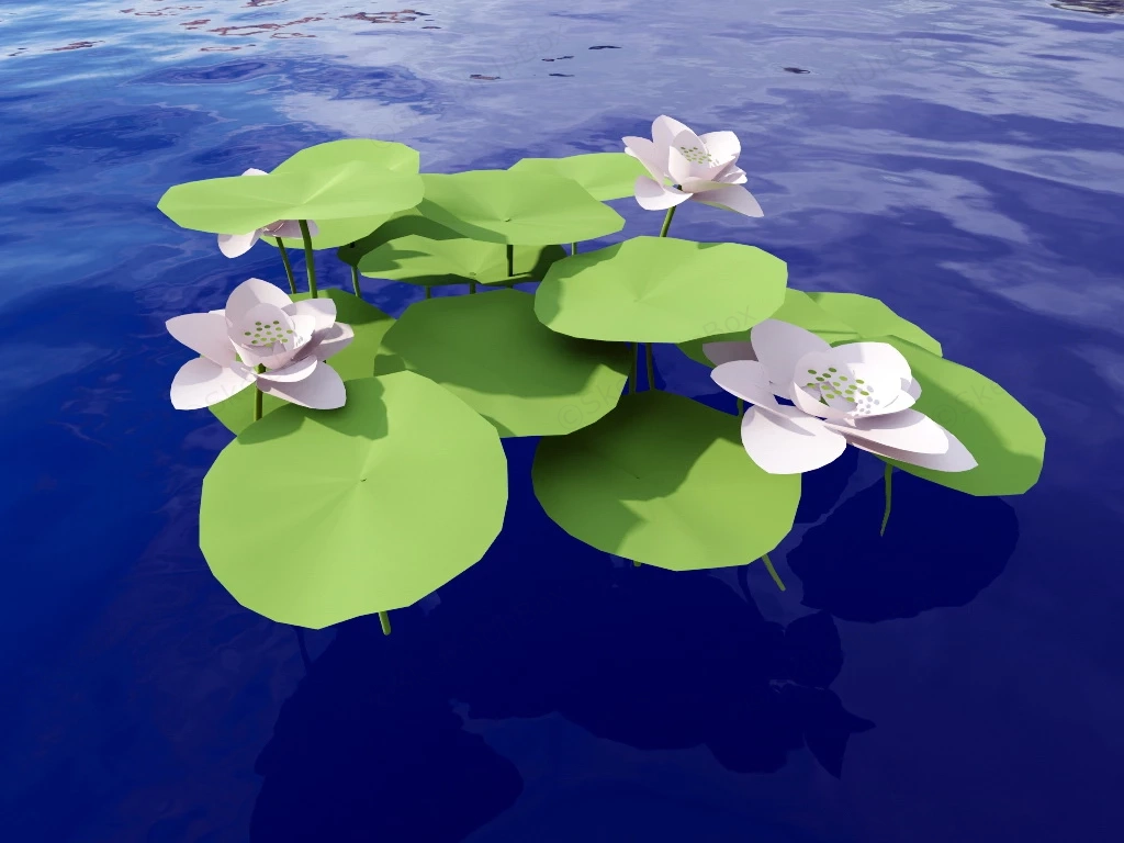 Light Pink Water Lily sketchup model preview - SketchupBox