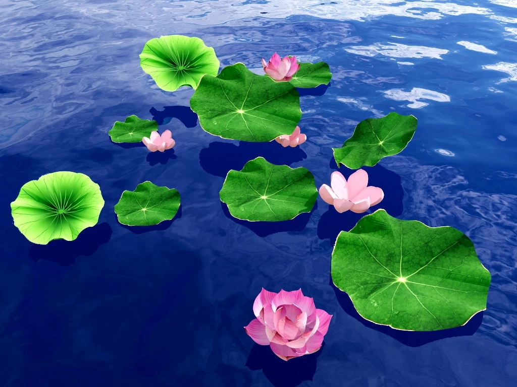 Water Lotus Plant sketchup model preview - SketchupBox