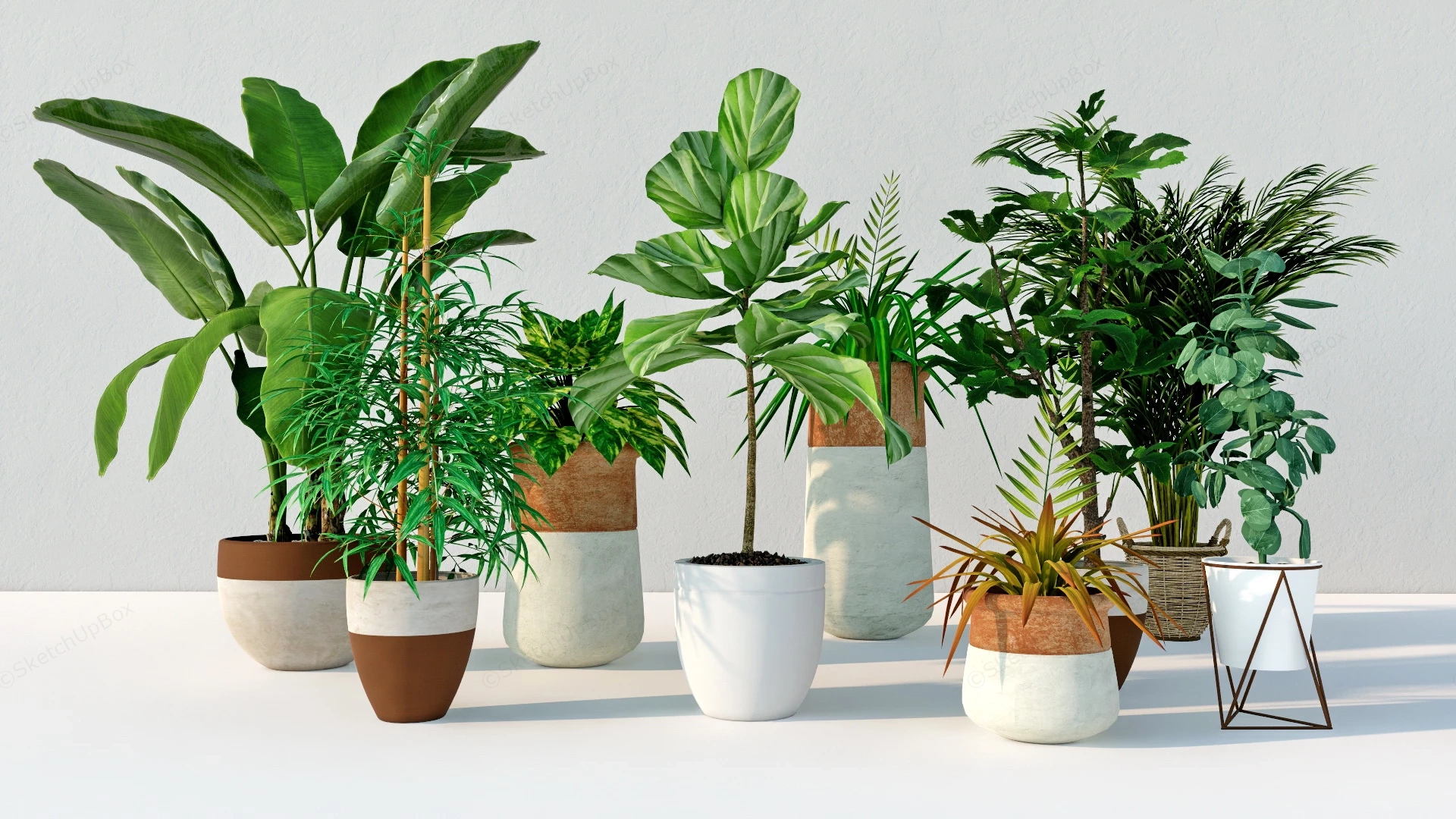 Living Room Houseplants sketchup model preview - SketchupBox