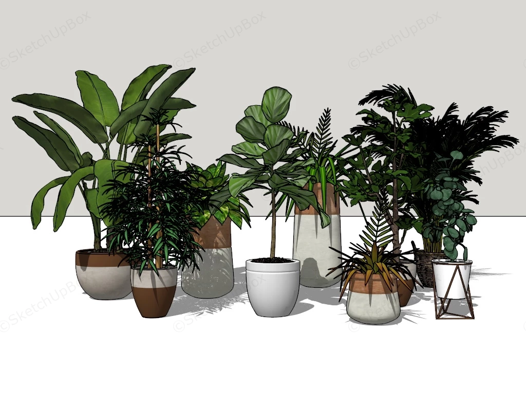 Living Room Houseplants sketchup model preview - SketchupBox