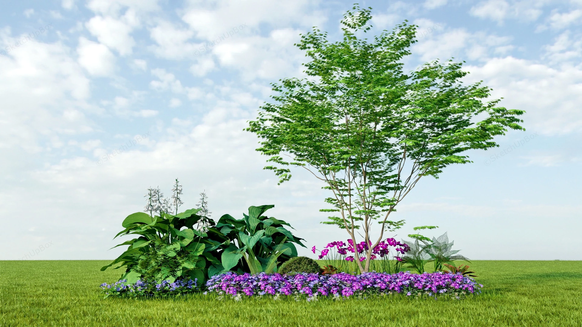 Garden Border Design Idea sketchup model preview - SketchupBox