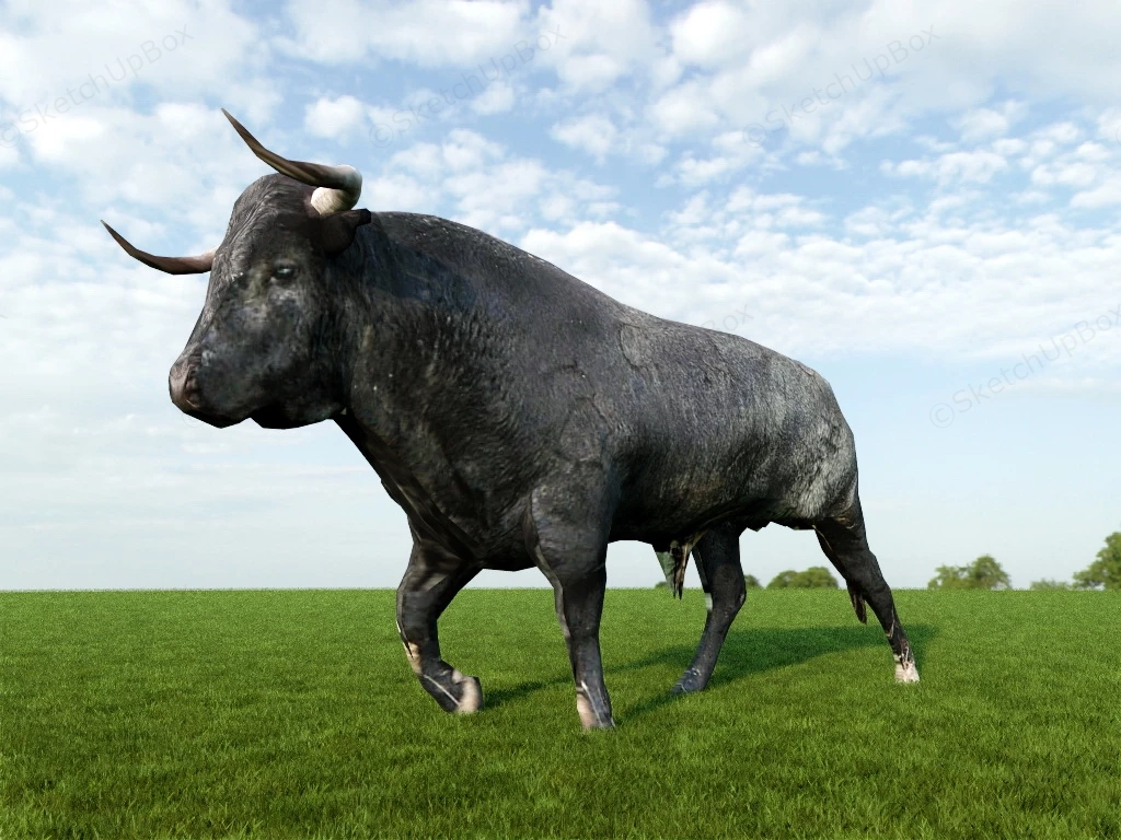 Black Bull sketchup model preview - SketchupBox