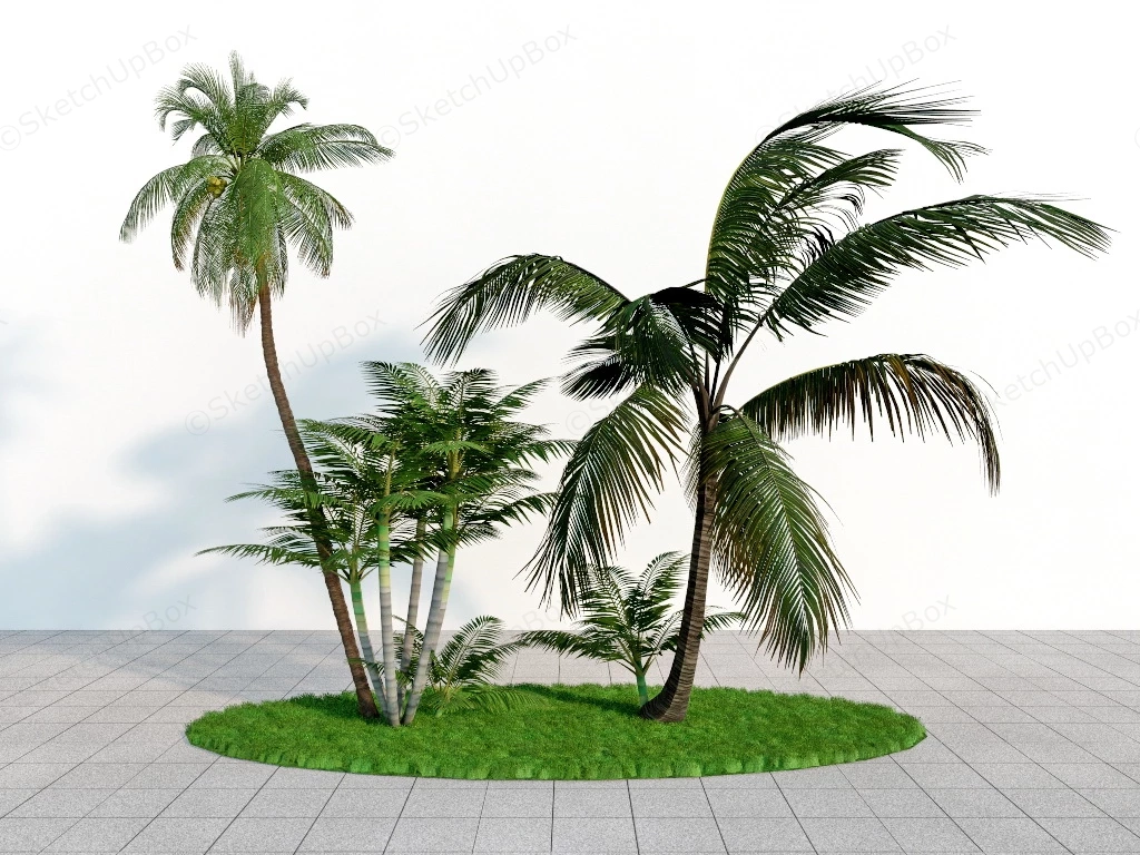 Palm Tree Landscaping Idea sketchup model preview - SketchupBox