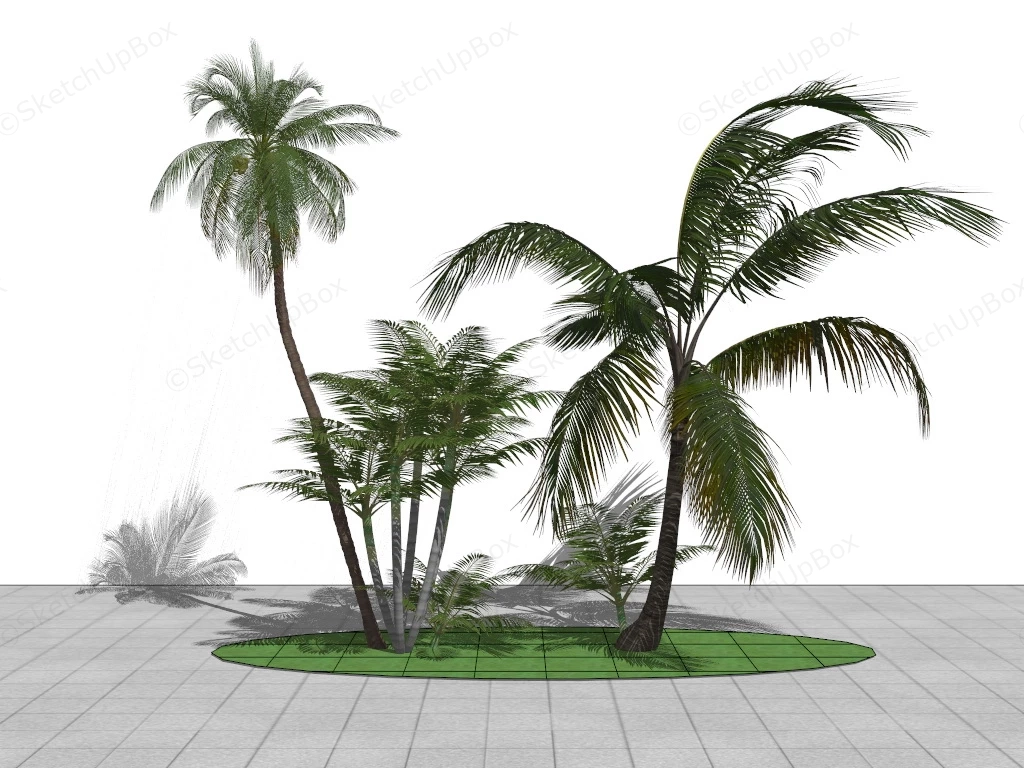 Palm Tree Landscaping Idea sketchup model preview - SketchupBox