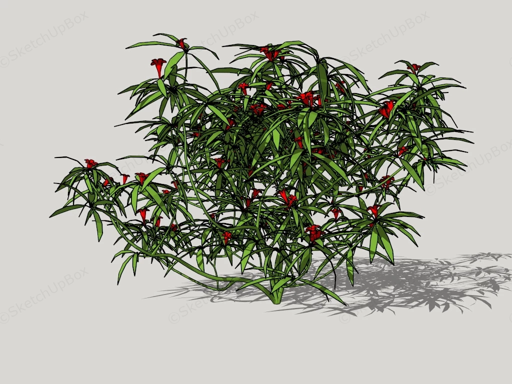 Red Flowering Bushes sketchup model preview - SketchupBox