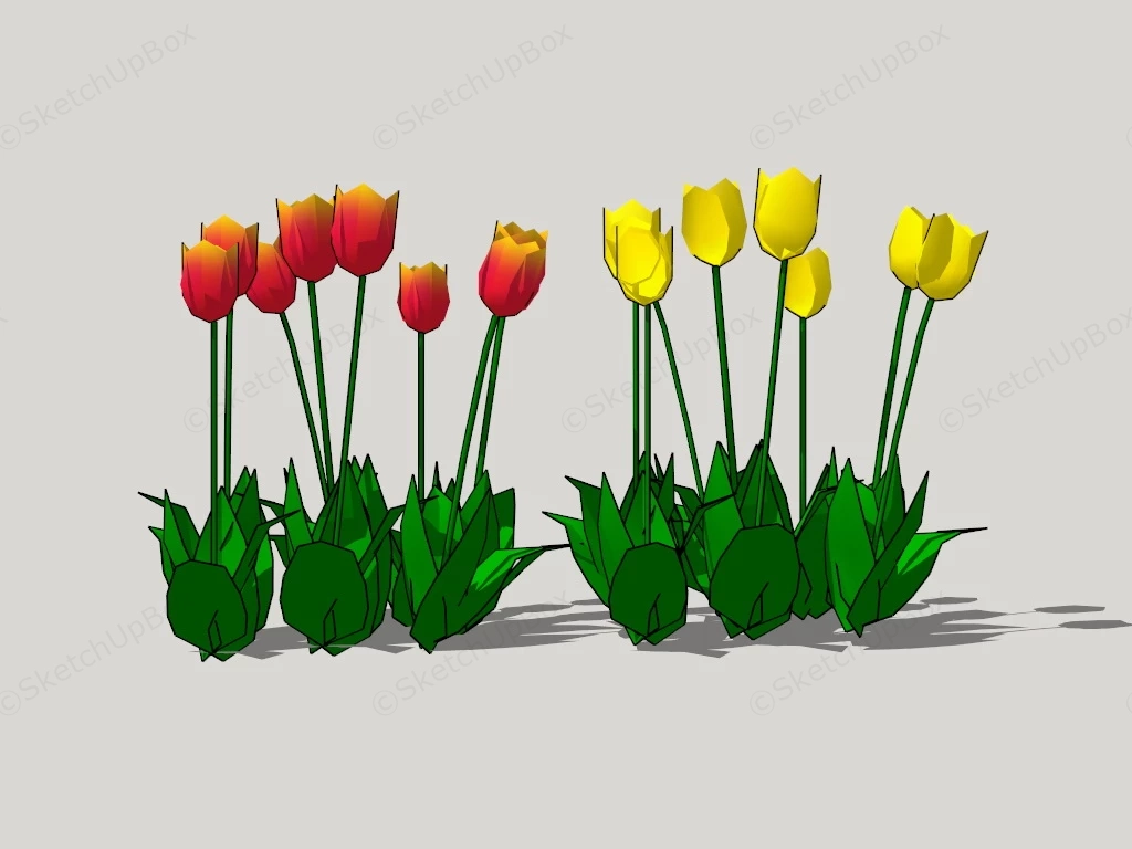 Red And Yellow Tulips sketchup model preview - SketchupBox