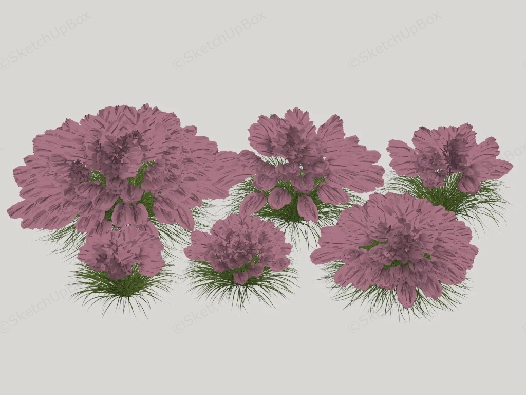 Ornamental Grasses With Flowers sketchup model preview - SketchupBox