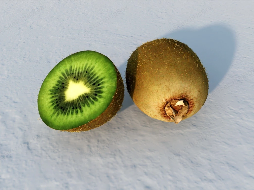 Green Kiwifruit sketchup model preview - SketchupBox